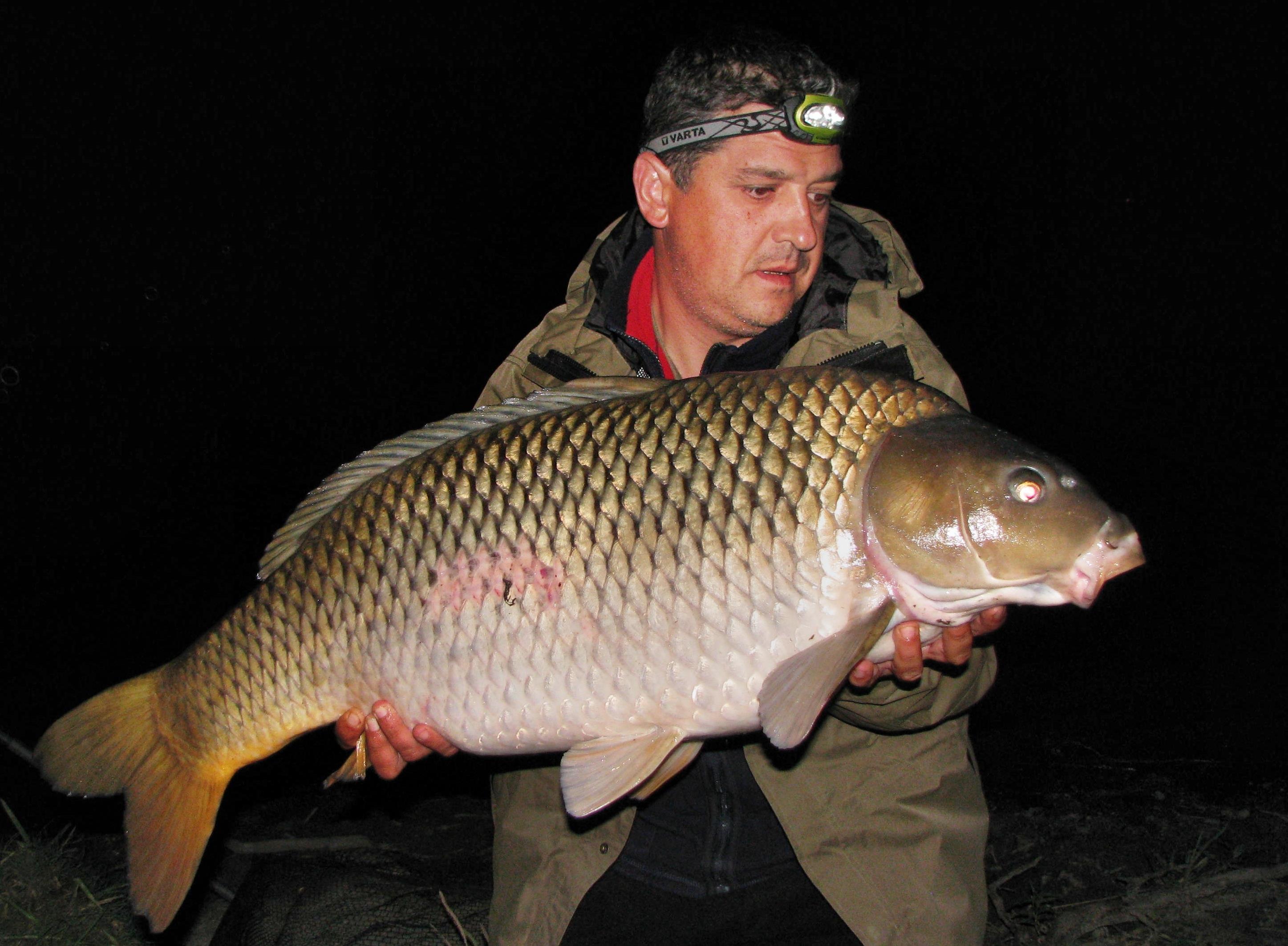 capturi - IMG_1763.jpg